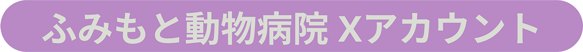 ふみもと動物病院 Xアカウント