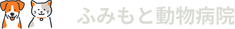 ふみもと動物病院